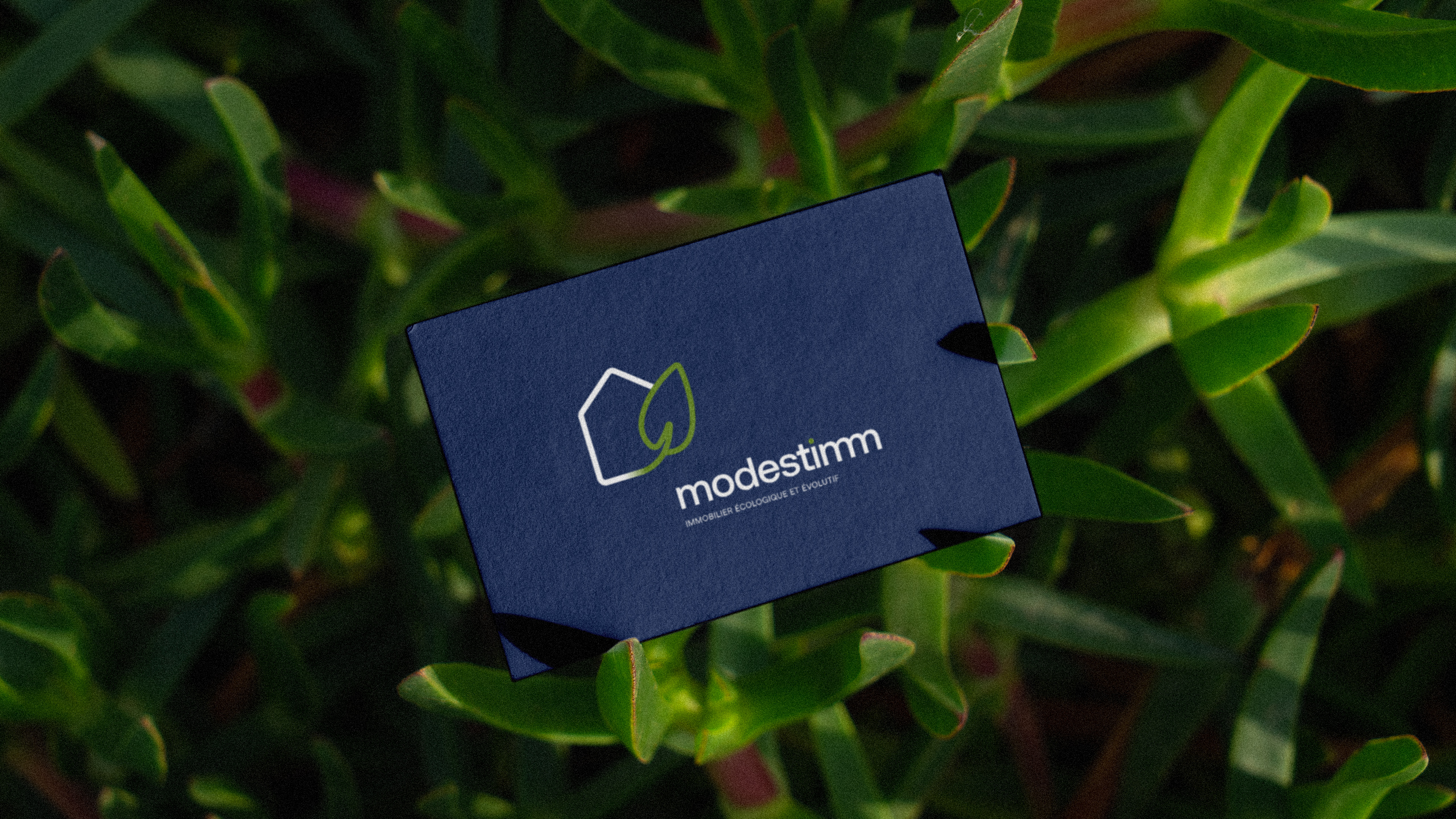 carte-visite-herbes-modestimm carte-visite-herbes-modestimm